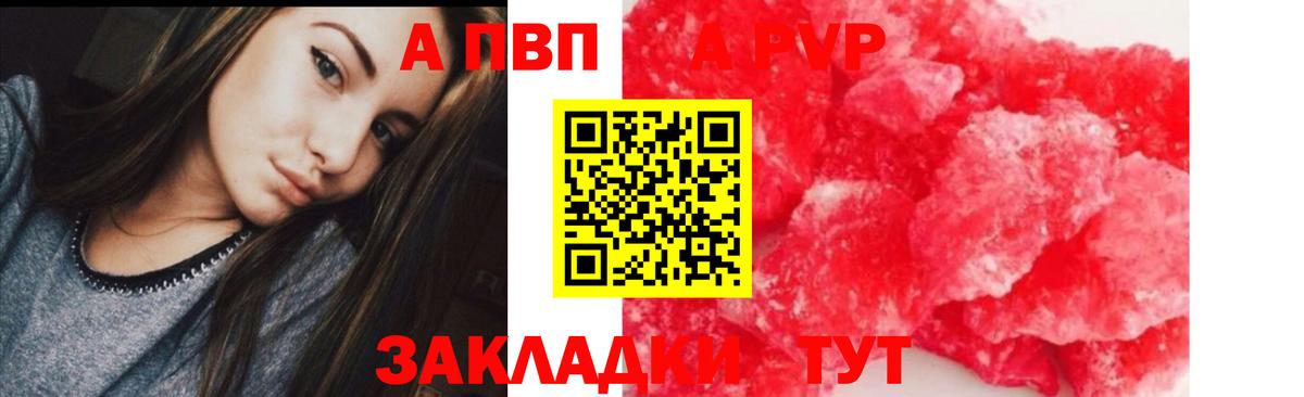 Alfa_PVP СК КРИС Каменка