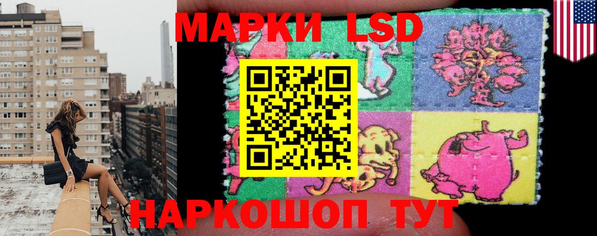 ГАШ Каменка