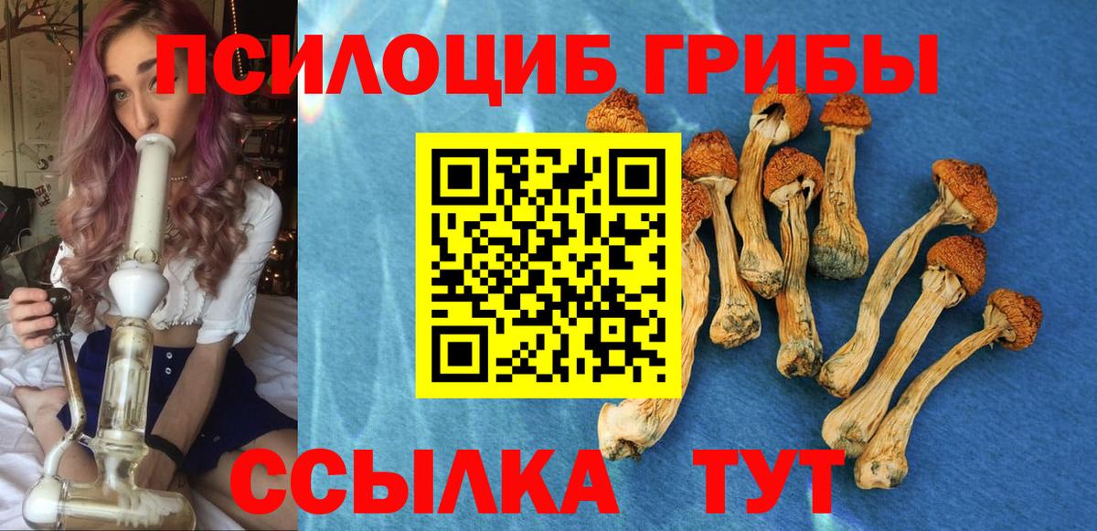 Каменка  Псилоцибиновые грибы мухоморы  Галлюциногенные грибы ЛСД  Вход с VPN 
